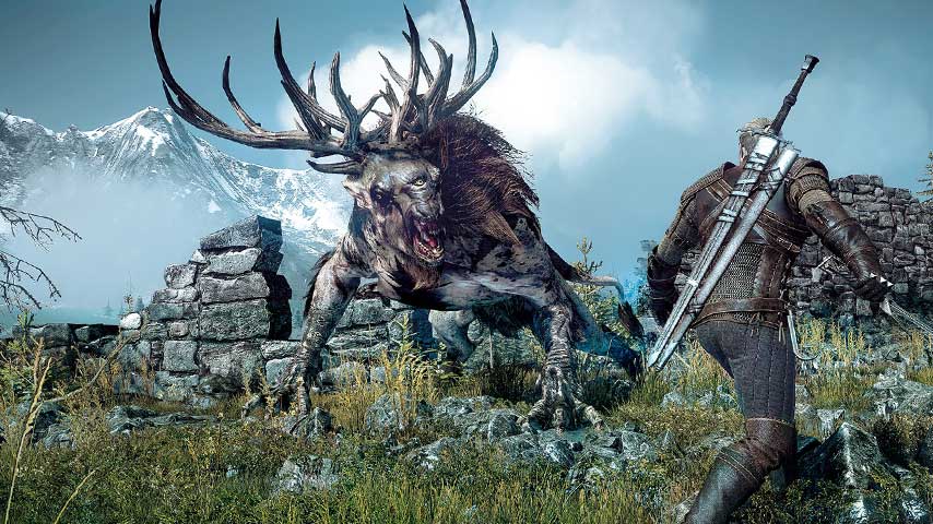 the_witcher_3_wild_hunt[1].jpg